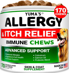 Allergy & Itch Relief Chews – Immune Support for Dogs of All Sizes