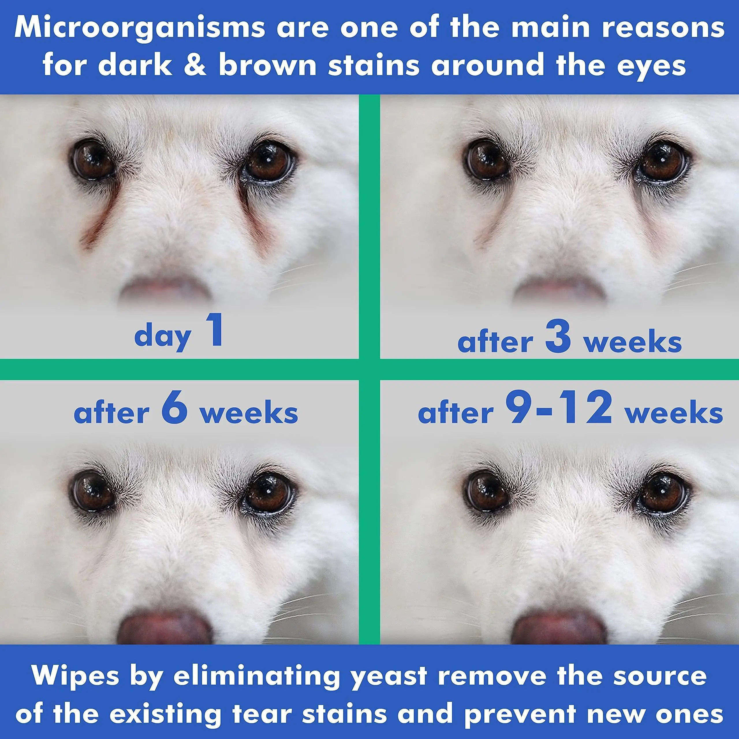 Tear Stain Prevention Eye Wipes – Gentle, Allergy-Free Cleaning for Dogs & Cats