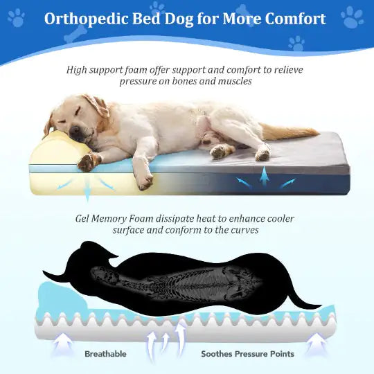 Orthopedic Gel Memory Foam Dog Bed – Large Size with Pillow, Waterproof Liner & Removable Cover (46"x29"x7.9", Blue)